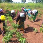 WhatsApp Image 2025-12-03 à 19.35.58_0644676e