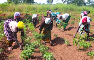 WhatsApp Image 2025-12-03 à 19.35.58_0644676e